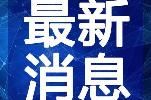 居哥最新爆料视频播放在线观看,揭秘幕后真相,在线观看不容错过!