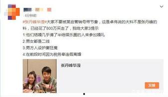 卓伟爆料大瓜视频大全最新,大瓜视频大全,娱乐圈风云再起